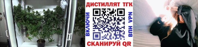 Купить закладки  Сенгилей  ТГК жижа 