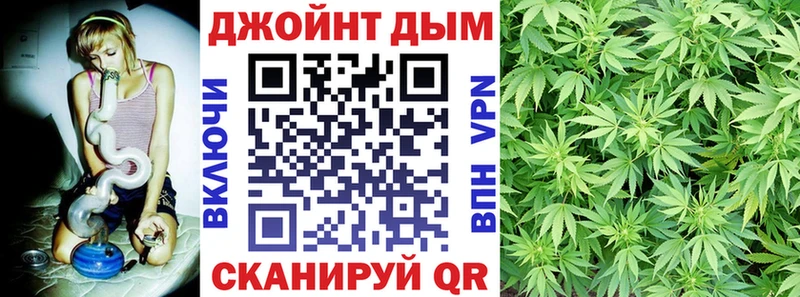 Конопля Amnesia  Купить где  Сенгилей 